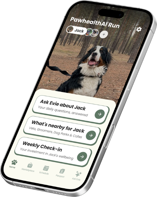 Redesigned home screen on an angled phone: a full-screen photo of Jack the dog with a pet switcher at the top, three green action rows and a labelled tab bar.