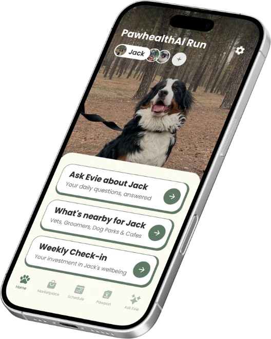 Redesigned PawHealthAI home screen with the pet full screen and three named actions.