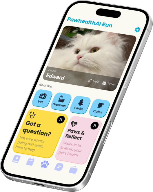 Version one home screen on an angled phone: a photo of Edward the cat, four blue Near me tiles, a yellow Got a question card, a pink Paws and Reflect card and five unlabelled tab icons.