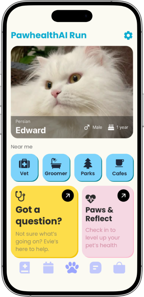 Version one home screen: Edward the cat with breed, sex and age on the photo, a Near me row of four blue tiles for Vet, Groomer, Parks and Cafes, a yellow Got a question card, a pink Paws and Reflect card and five unlabelled tab icons.