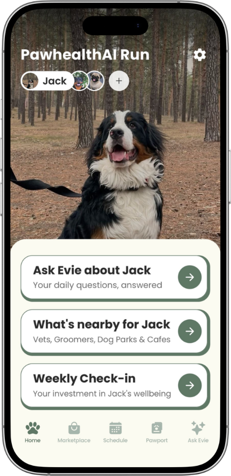 Redesigned home screen: Jack the dog full screen with a pet switcher at the top, then three rows reading Ask Evie about Jack, What's nearby for Jack and Weekly Check-in, above a tab bar labelled Home, Marketplace, Schedule, Pawport and Ask Evie.