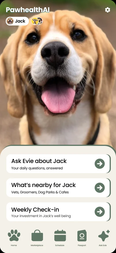 Revised home screen for Jack, with the pet photo, three named actions and text labels under navigation icons.